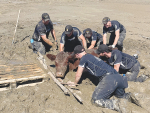 A cow almost entirely engulfed and trapped in silt was lucky to be spotted and rescued by a team of HMNZS Te Mana personnel travelling near the Tutaekuri River in Napier. Photo Credit: New Zealand Defence Force Facebook Page.