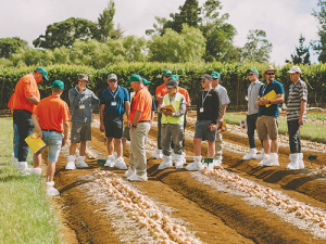 Visitors look over the new onion breeding station at Pukekohe. Photo: Melissa Parker.