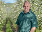 Record blossoms for bumper apple crop