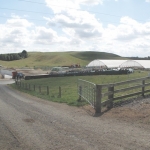 Most farms in New Zealand are family owned and operated.