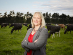 Rabobank New Zealand general manager for country banking Hayley Moynihan.