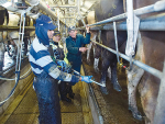New rules on migrant workers will impact the dairy industry, says DairyNZ.