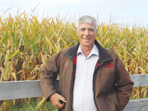 Bay of Plenty dairy farmer Doug Leeder says maize yields in the region are the best seen in five years.