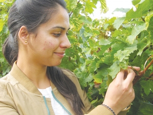 Shivani Ghai is hoping to make wine in her homeland.