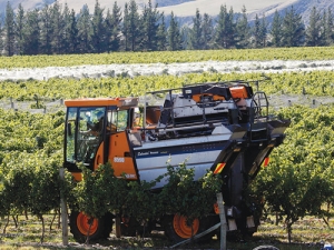 Mechanical harvesters start the 2016 grape harvest at the Waipara Hills vineyard in North Canterbury.
