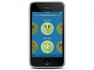 Dairy Australia&#039;s new Good Bulls app makes it easier for dairy farmers to identify bulls that meet their breeding priorities.