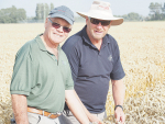 Ashburton wheat grower Eric Watson, left, with Bayer’s David Weith in the paddock of wheat which has yielded a new world record. Photo: Supplied.