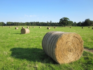 Sustainable Farming Fund round opens