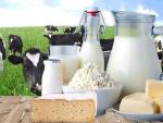 Dairy prices fall