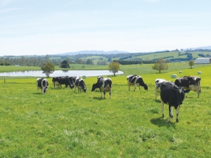 Dairy is worth about $3 billion to the Gippsland economy in Victoria, Australia.