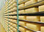A$150m upgrade for Tassie cheesemaker