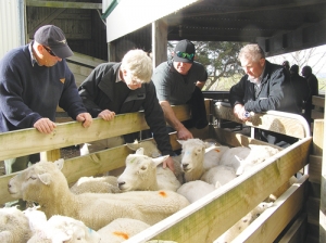 Ram breeders attending last month’s Beef + Lamb NZ Genetics sheep breeder forum.