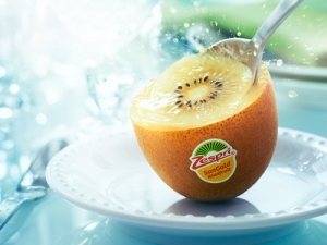 Zespri&#039;s SunGold or G3, has been named as fruit and vegetable product of the year by one of Germany&#039;s most important grocery trade publications.