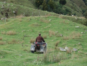 Quad bikes accidents are just one type of vehicle or machinery related incidents to occur on farms.