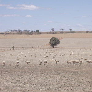 Drought stricken farmers have been offered more financial help.