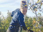 EIT Horticulture student Saffron Wilson is enjoying her apprenticeship at Mr Apple.