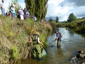Field day at Kaniwhaniwha Stream.