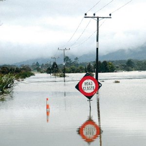 Floods break fences, damage pastures