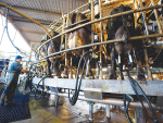 Dairy generated nearly $26 billion in export revenues for NZ in the year to April 2023.