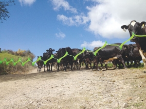 The High-vis banner keeps cows out and closes up tight for transport.