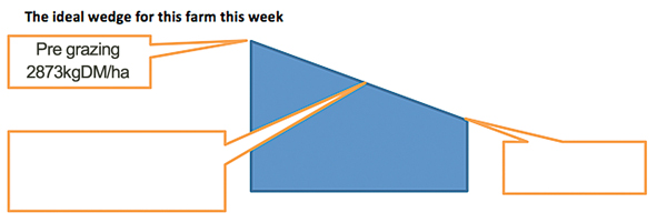 9-the-ideal-wedge