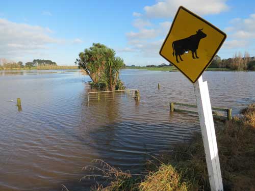 A-warning-sign-for-cows-but-all-gone