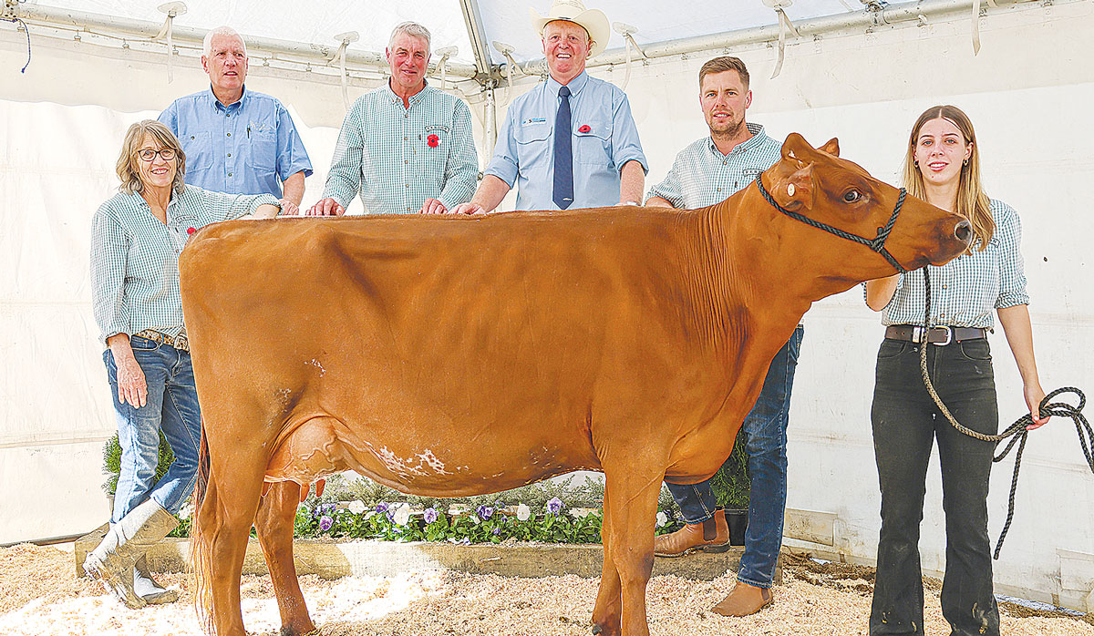 Ayrshire Ferdon Genetics FBTW