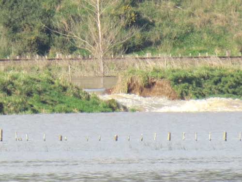 Breach-in-stopbank-floods-Murray-Moxhams-farm