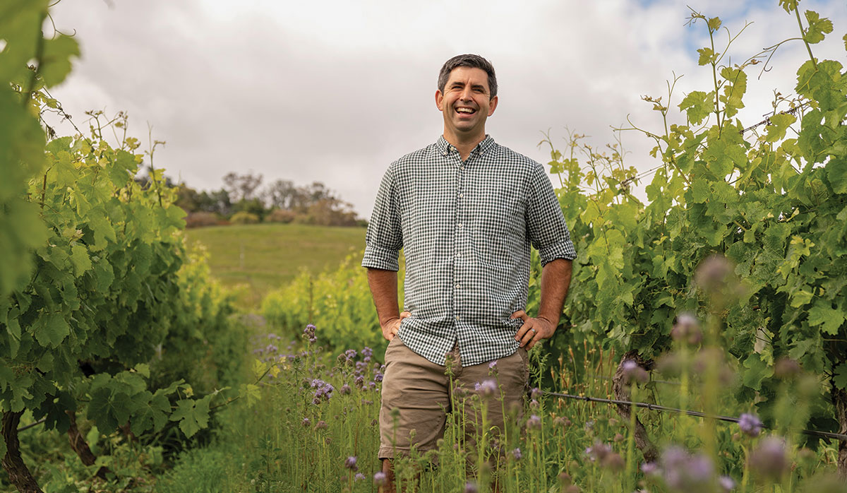 Brenton OReilly FBTW