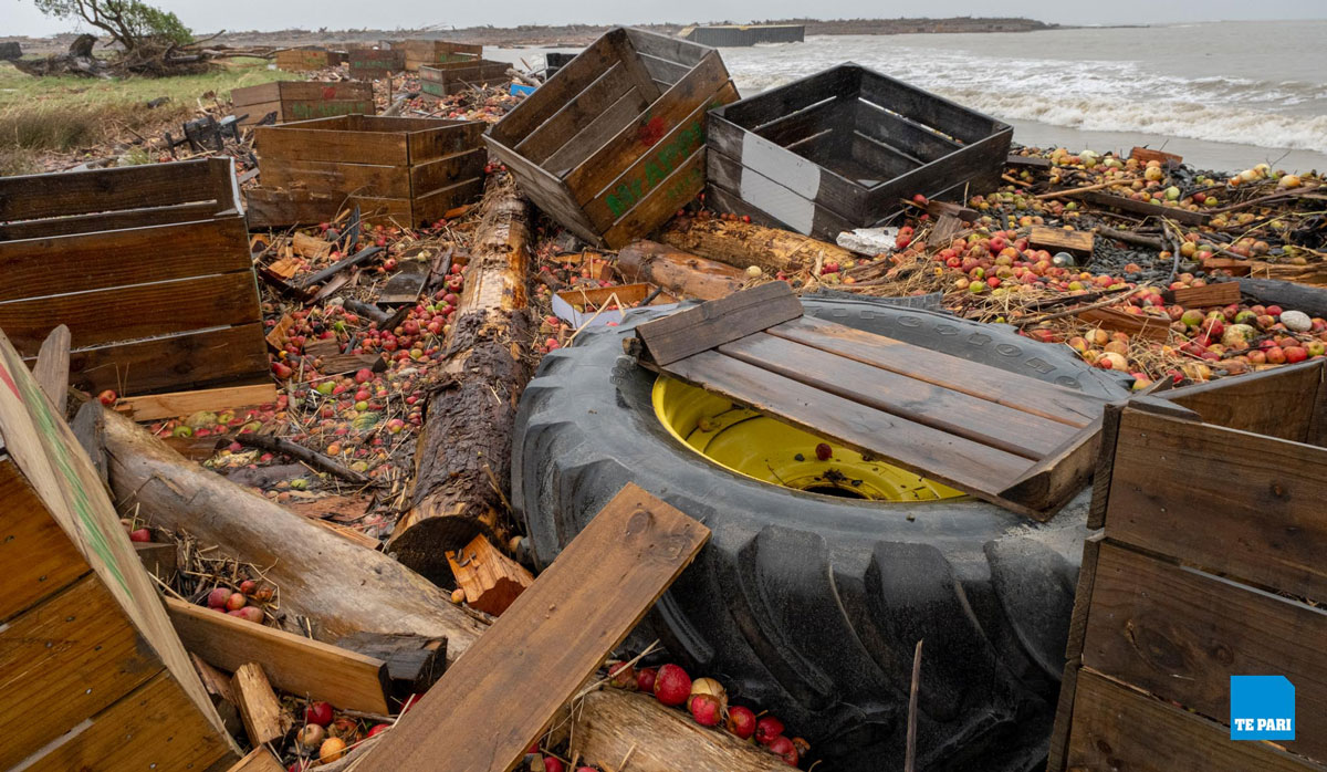 Debris clogs the beachfront including a 40ft Container