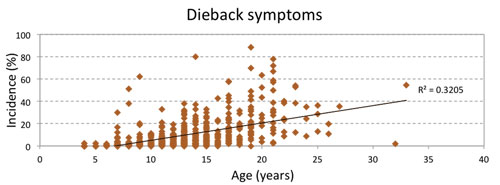 DIEBACK-SYMPTONS