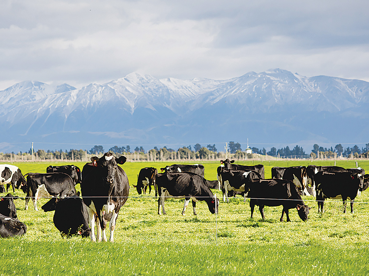 Glen Eyre Stud WEB