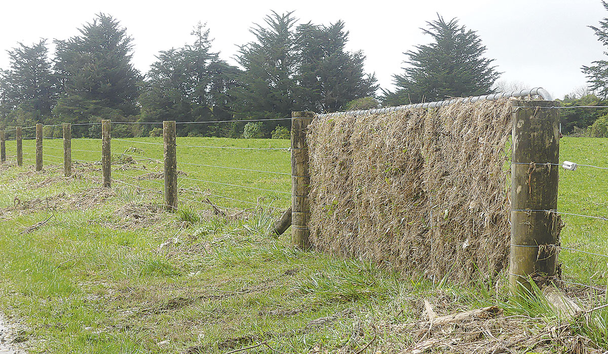 John Reedy farm post flood FBTW