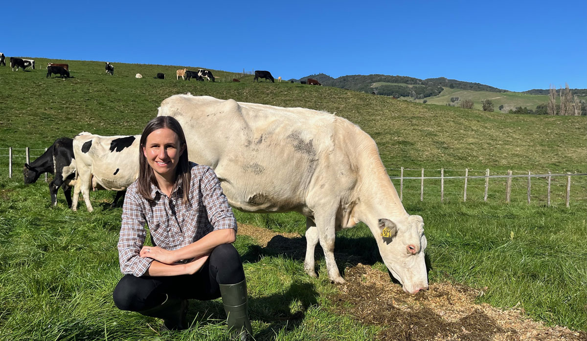 Kirsty Steeghs with her dream white cow FBTW