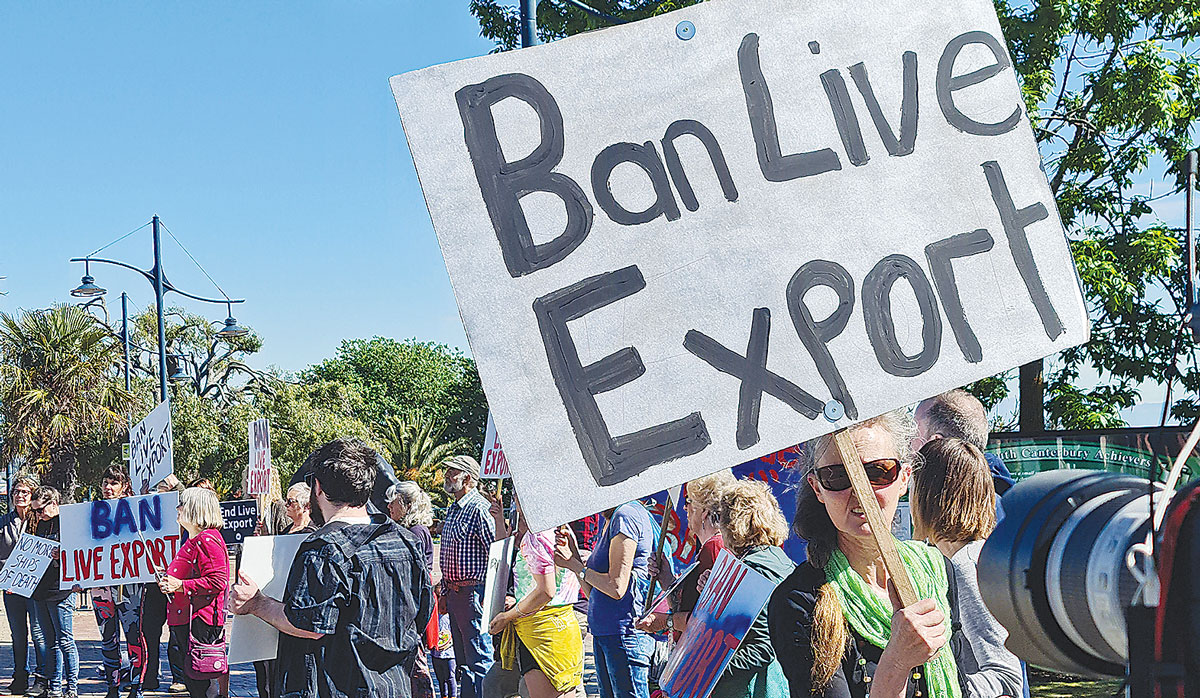 Live Export Protest FBTW