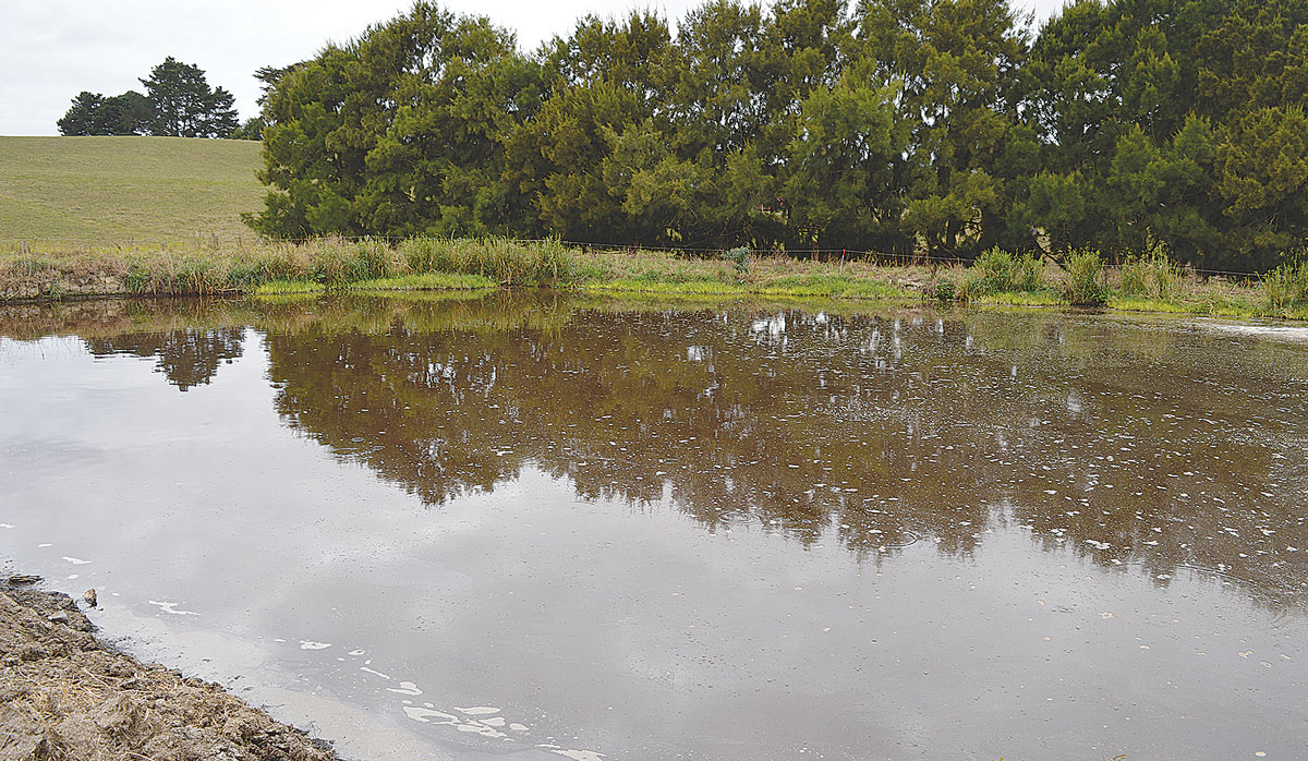 Mark Bon effluent pond FBTW