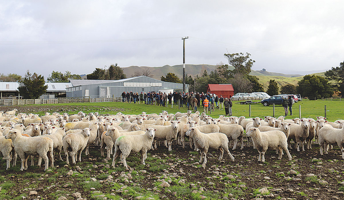 Massey Wiltshire field day FBTW