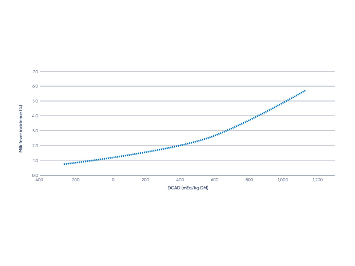 Milk Fever Incidence Graph WEB