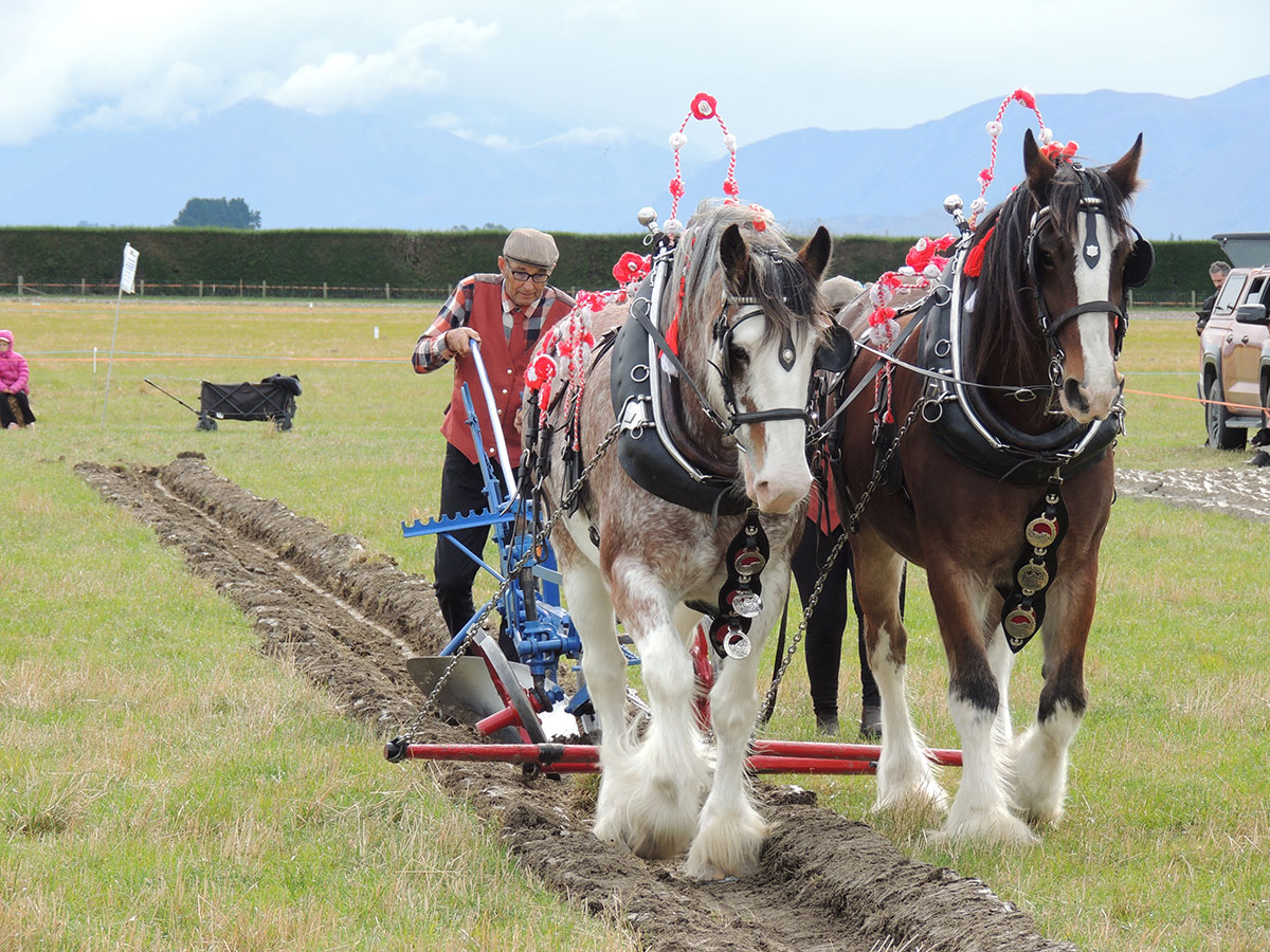 New Zealand Ploughing Championships WEB