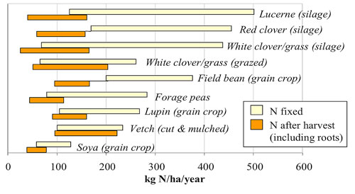 Nitrogen-diagram-WG