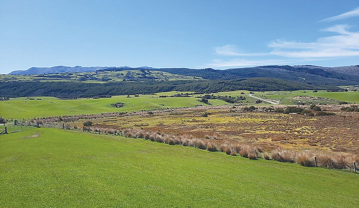 Te Anau Downs Station FBTW