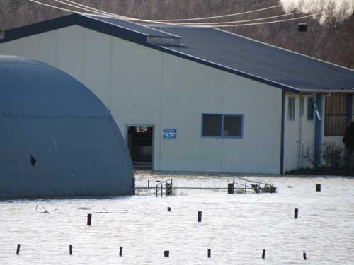The-flooded-milk-shed