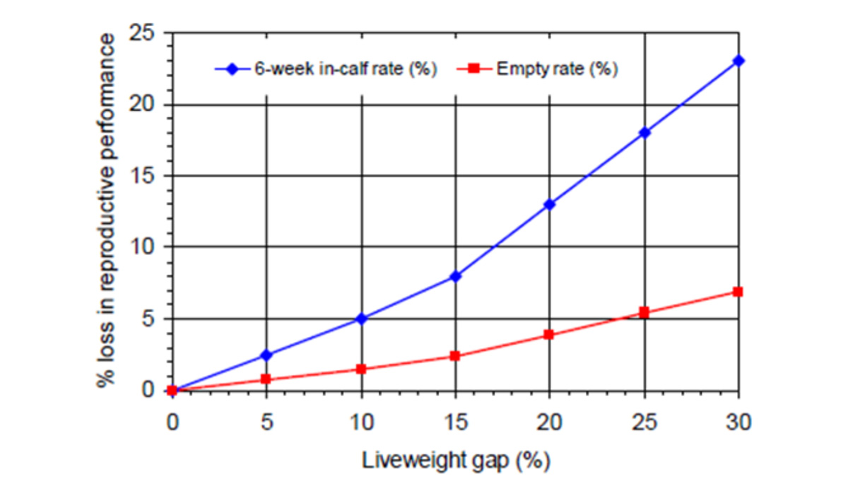 Wade Bell Liveweight Gap Graph FBTW