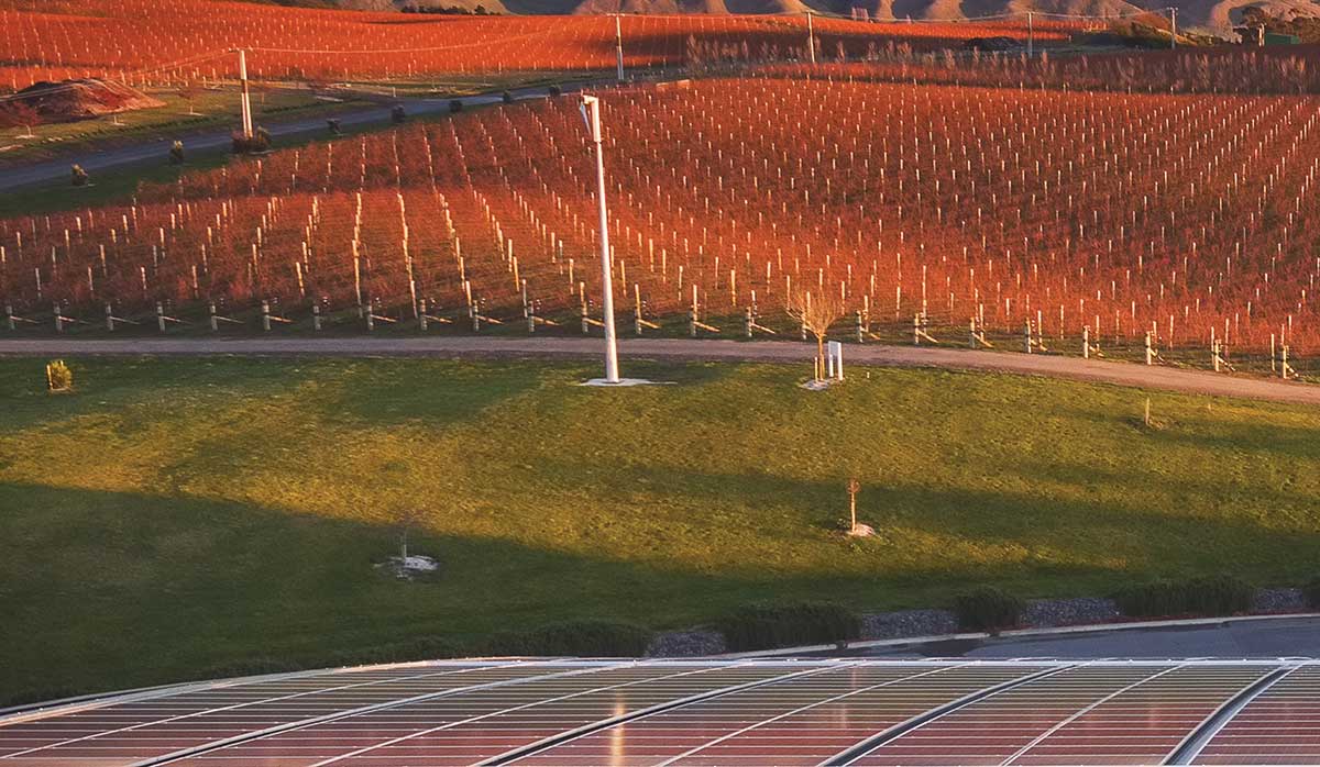 Yealands Estate FBTW