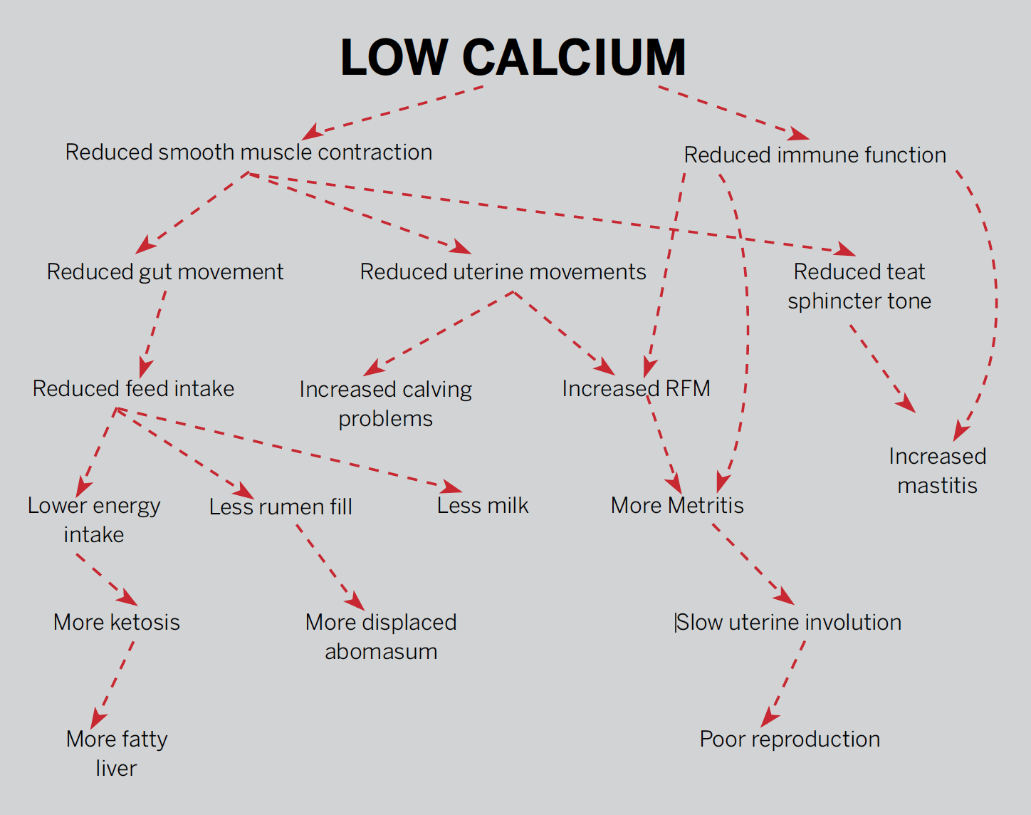 low calcium diagram