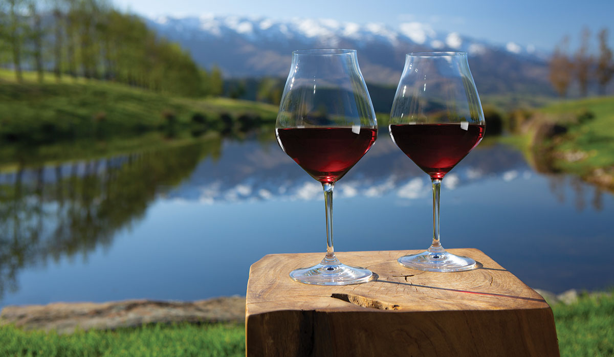 pinot nz 2025 FBTW