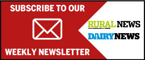 Subscribe to our weekly newsletter