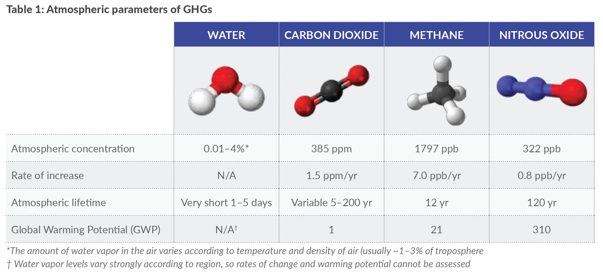 water table