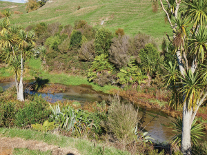 Good Farming Practices Proven to Reduce Nutrient Losses and Improve Water Quality