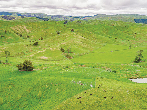 The pact underscores a joint commitment to advancing new and better farming and growing practices in New Zealand’s agricultural sector.